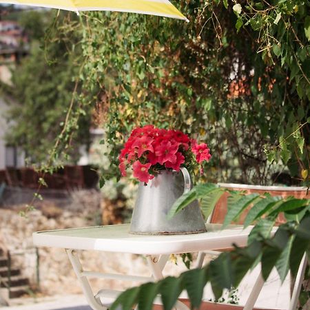 Chale Villa Alijó Dış mekan fotoğraf
