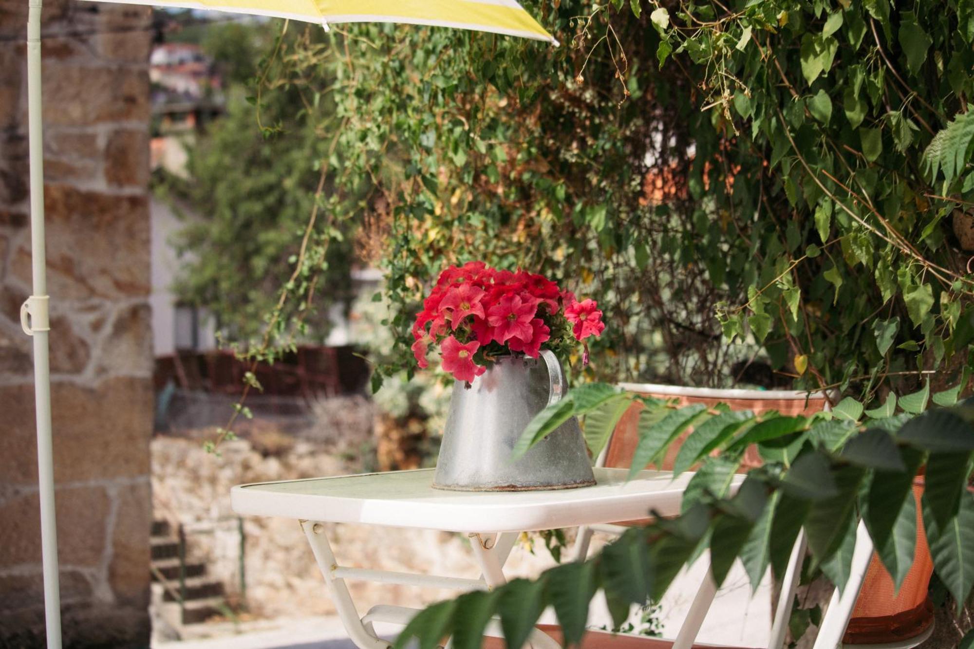 Chale Villa Alijó Dış mekan fotoğraf